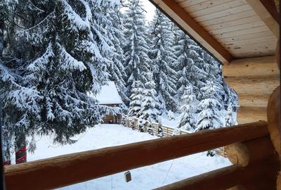 De Vanzare Cabana in   Poiana Negrii cu Clasificare la  Ministerul Turismului - 8