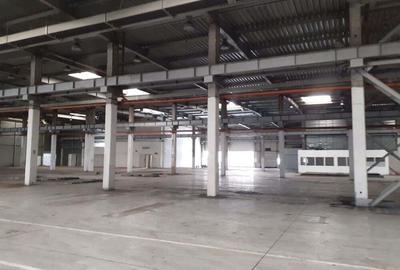 Spațiu comercial, de 20,000 mp, în Timișoara - 6