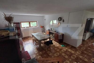 Casă cu 6 camere cu Teren 2420 Mp în Debarcader - 9