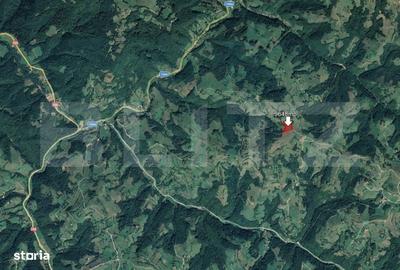 Spațiu comercial, în Paltin - 5