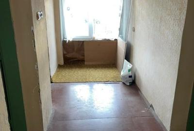 Casă cu două clădiri și teren mare, ideală pentru relaxare și pescuit pe Dunăre - 2