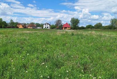 Teren de 1732 mp, în Stupinii Prejmerului - 7