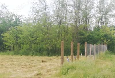 Casă cu 1 camere cu Teren 2500 Mp în Radu Vodă - 5