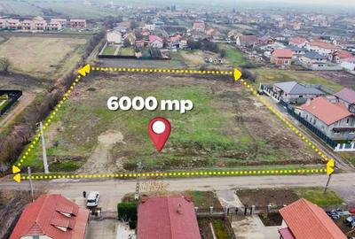 Spațiu comercial, în Săcălaz - 2