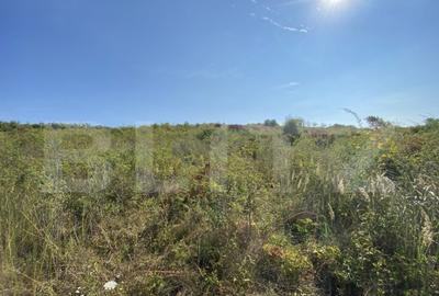 Teren de 3800 mp, în Crișeni - 5