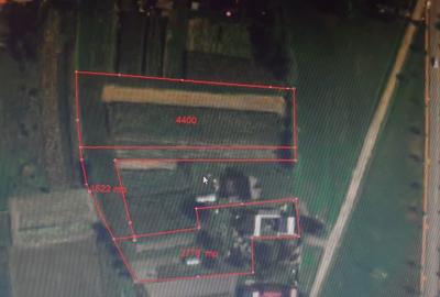 Spațiu comercial, în Paltin - 6