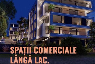 Spațiu comercial, de 139 mp, în Păcurari - 1