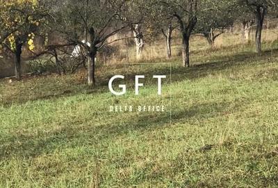 Teren intravilan parcelabil, cartier RAAL , 38 ari - 6