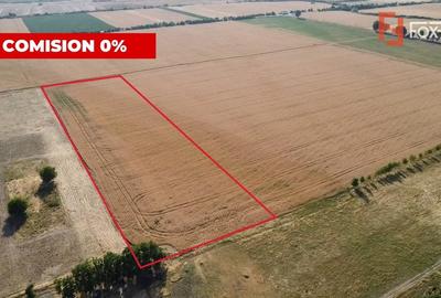 Teren Construcții intravilan de 24700 mp, în Pădureni (Jebel) - 2