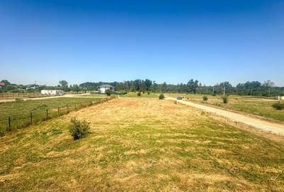 Teren 1116 mp gulia Eden Forest - 4