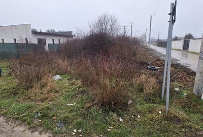 2 loturi 1000 mp Strada Pinului - 1 Decembrie - 8