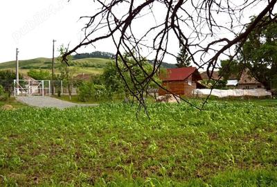 Teren de 4000 mp, în Central - 5