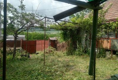 Casă cu 3 camere în Dăbâca - 7