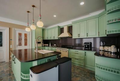 Casa exclusivista cu arhitectura unica, 320mp utili, Horod - 4