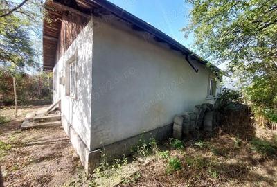 Casă cu 3 camere cu Teren 496 Mp în Vest - 4