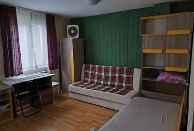 Garsonieră nedecomandată în Țiglari - 1