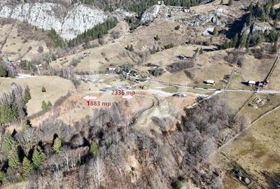 Teren Construcții intravilan de 4219 mp, în Dâmbovicioara - 2