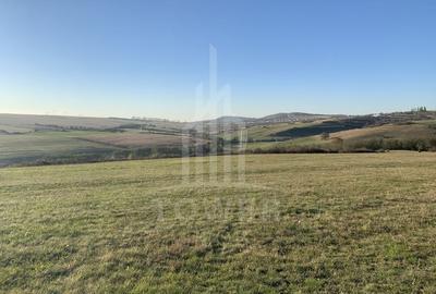 Teren pentru constructie cabana in Dealul Daii-parcele de 650 mp - 4