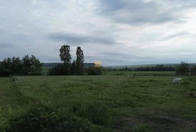 Teren de 3953 mp, în Fălticeni - 2
