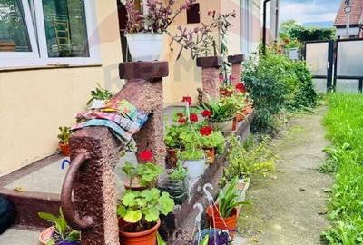 Casă individuală cu 3 camere cu Canalizare în Câmpulung la Tisa - 4