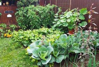 Casă cu Teren 470 Mp în Central