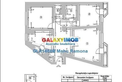 Apartament deosebit, amplasare excelenta, Banu Manta - Mihalache - 24