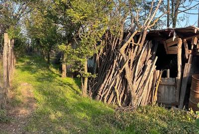 Galbinasi - jud. Calarasi, casa vanzare - 6