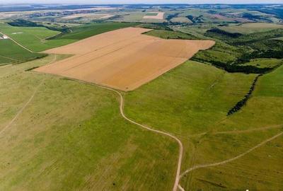 Teren arabil de 2009 hectare in Mures - 1