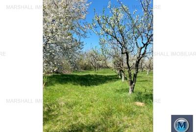 Teren intravilan de vanzare in Baicoi, 4036 mp #15948 - 5