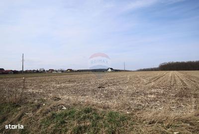 Spațiu comercial, în Bosanci