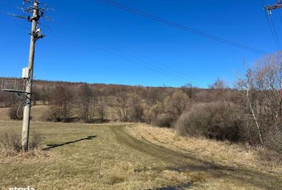 Teren de 9680 mp, în Deda - 1