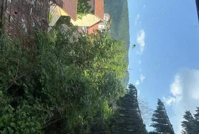 Casă cu 4 camere cu Teren 820 Mp în Centrul Istoric - 7