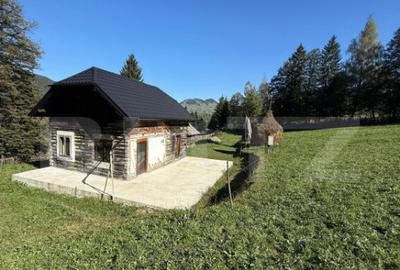 Teren intravilan 9368 mp, front 174 ml, localitatea Pojorata - 3