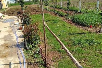 Teren +casa de vacanta Teren +casa de vacanta - 1