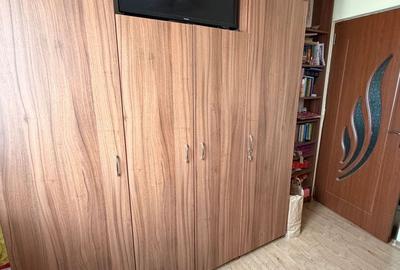 Apartament cu 2 camere decomandat în Valea Ialomiței - 10