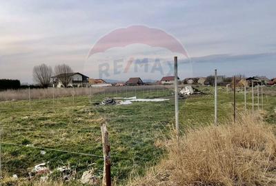 Teren Construcții intravilan de 700 mp, în Bod - 6