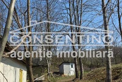 Casă cu 6 camere cu Teren 2200 Mp în Tisău - 5