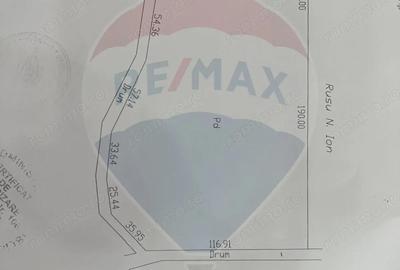 Teren de 25000 mp, în Răcoasa - 1