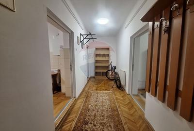 Doua case de vanzare in aceeasi curte, in zona Sub Arini - 13