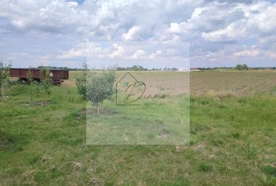 Teren intravilan Ciocanesti Cretu - 9282 mp divizat in 15 loturi - 1