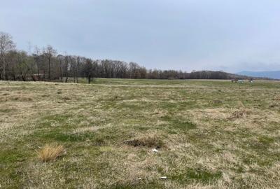 Land for sale Teisani, Prahova - 3