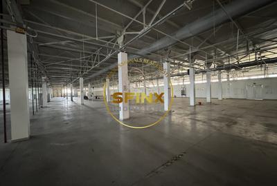 Spatiu industrial modern, 15.000 mp teren, 5.300 mp construiti, DN1A - 3