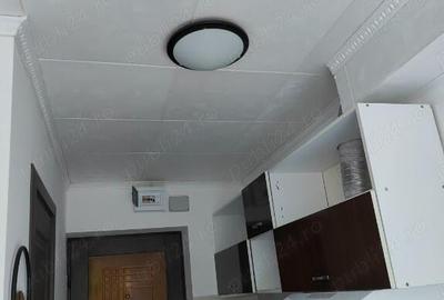 Arsoniera zona Piata Sudului - 4