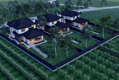 Bucium - Visan, locuinta impresionanta, P+E, design modern - 6