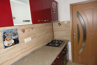 Apartament 1 camera la parter intr-un bloc de apartamente in Vlaicu, renovat, mobilat - 5