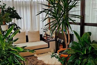 Casă individuală cu 4 camere cu Canalizare în Popas Păcurari - 4