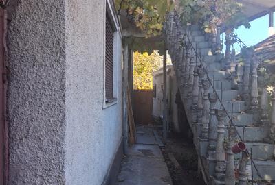 Casa Mehala, Timi?oara - 5