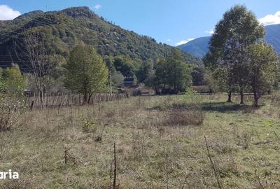 Teren de 1075 mp, în Malaia - 4