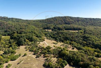 Terenuri 12.225 mp - Ramnicu Valcea, Aranghel - 11