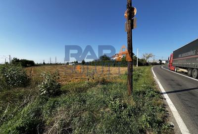 Teren între Cordun și E85 - 1